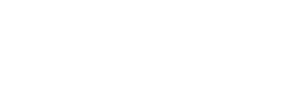 Car & Go
